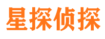 延平市侦探调查公司